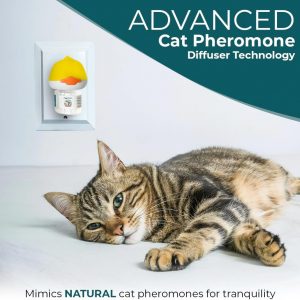 Cat Calming Pheromone Diffuser Kit – Anxiety Relief & Stress Reduction for Indoor Cats – Includes 1 Plug-In Diffuser + 2 Refills – Lasts 60 Days – Promotes Urination Deterrent and Calm Behavior