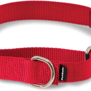 PetSafe Martingale Dog Collar with Quick-Snap Buckle – Small, 3/4 Inch, Red