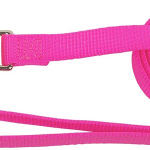 Hamilton Single Thick Deluxe Nylon Lead with Swivel Snap, 5/8-Inch by 6-Feet, Hot Pink